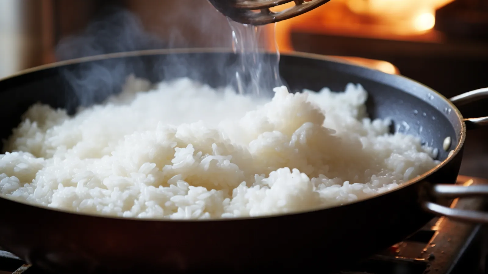 illustration for rice