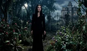 illustration for show