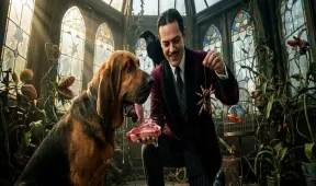 illustration for pet