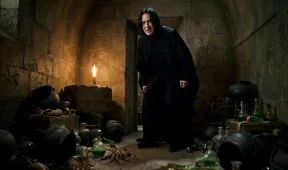 illustration for gross